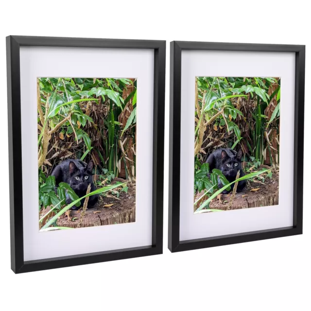 2x Black A3 (12" x 17") Acrylic 3D Box Photo Picture Frame - White A4 Mount