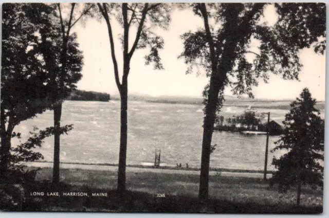 Harrison Maine ME Long Lake Swimming Dock Island Trees View Vintage Postcard