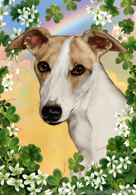 Clover House Flag - Fawn and White Whippet 31441