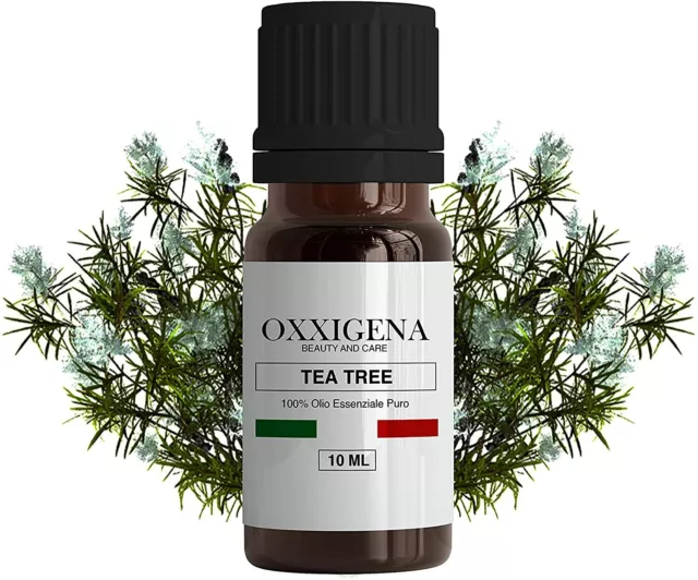 Olio essenziale di rosmarino - Oxxigena - Beauty & Care