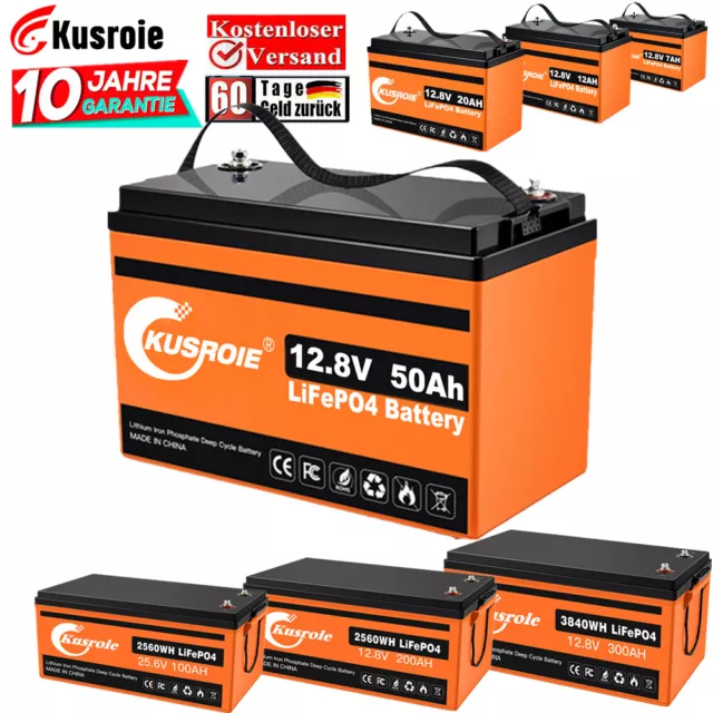 12V /24V Lithium-Eisenphosphat Batterie LiFePO4 Akku für Solar Wohnmobil Camping