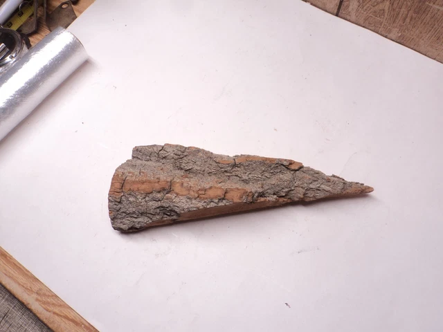 Buena Calidad Iowa Cottonwood Reducción Madera Corteza #4 1 pieza