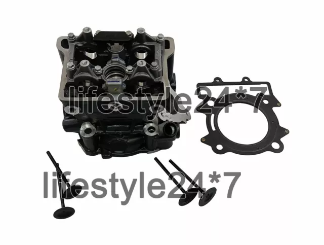 Fit For KTM Duke 390 Cylinder Head With Intake & Exhaust Valve & Gasket Kit