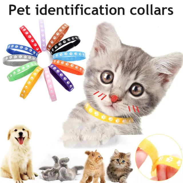 ┥ 12/6 PIEZAS Collares de identificación Collares para perro Suministros para mascotas Cadena de identificación Cachorro
