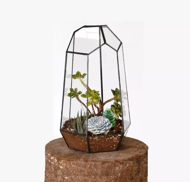 Geometric Glass Terrarium, Succulent & Air Planter for Indoor Tabletop Home Offi
