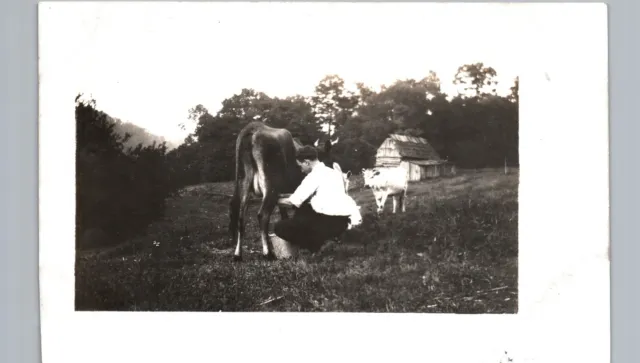 MILKING A DAIRY COW c1910 real photo postcard rppc farm field barn