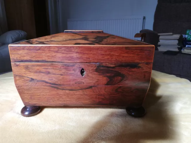Antique Georgian Rosewood Tea Caddy 3