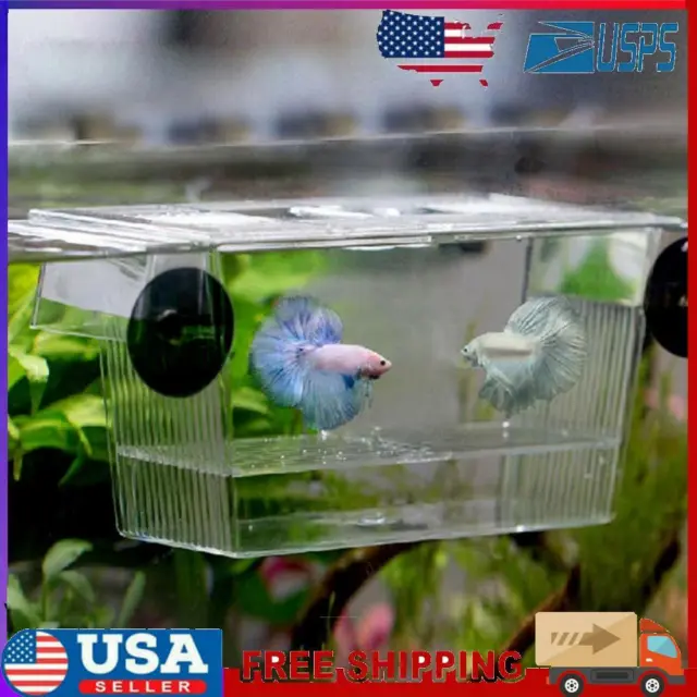Transparent Acrylic Aquarium Incubator Fish Tank Isolation Box Hatchery Holder