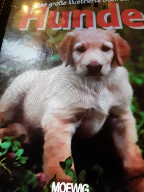 Hunde Buch