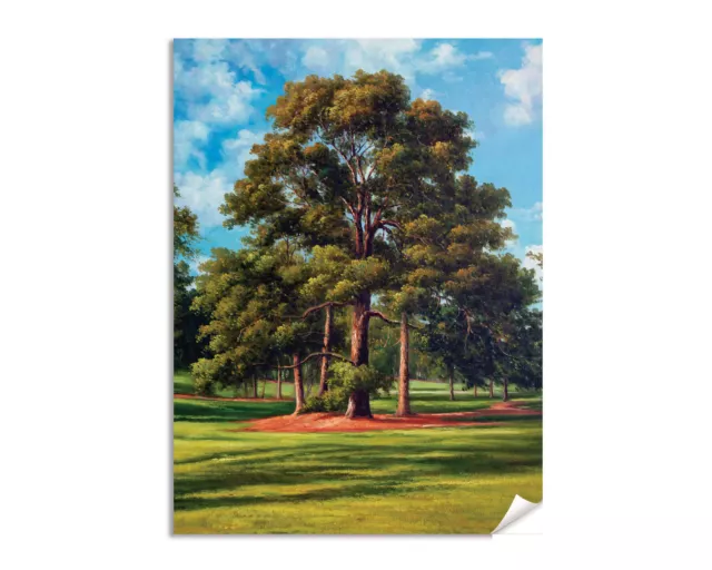 Augusta National Golf Club Course Eisenhower Tree PGA Masters Art Print 1RiOil