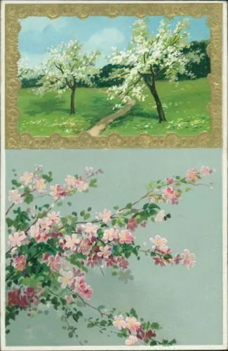 Ansichtskarte Prägekarte um 1910 (Nr.9888) Frühlingswiese
