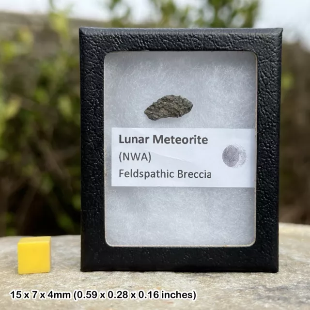 Genuine lunar nwa 8687 (2014) troctolite meteorite - space moon rock - certified