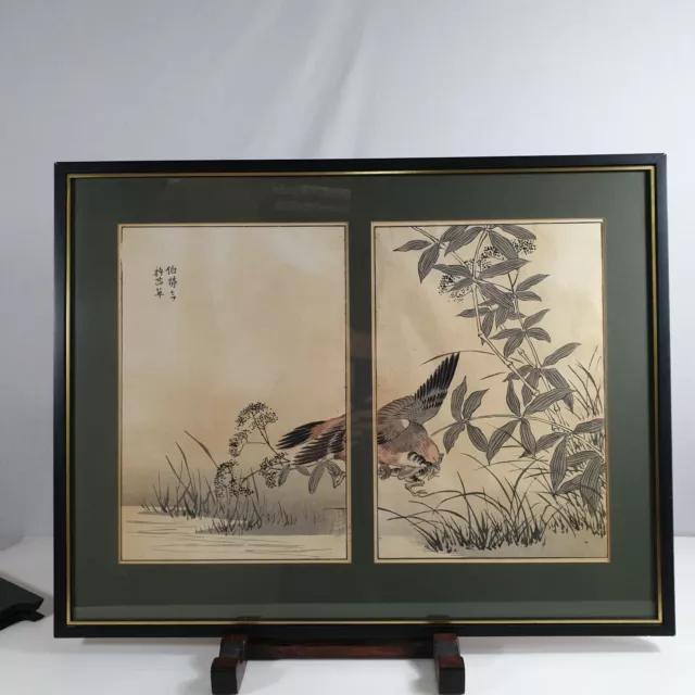 Vintage Japanese Woodblock Print Double Bird Swooping And Catching A Frog