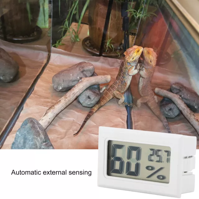 Reptilien-Thermometer Leicht Ablesbares Reptilien-Thermometer Und