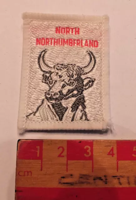 Vintage Boy Scouts North Northumberland District County Area Badge (A1)
