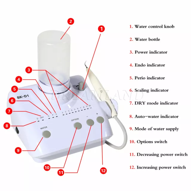 sk-d1 Dentaire Ultrasonic Scaler Satelec DTE Handpiece Tips Water Bottles KD-RF 3