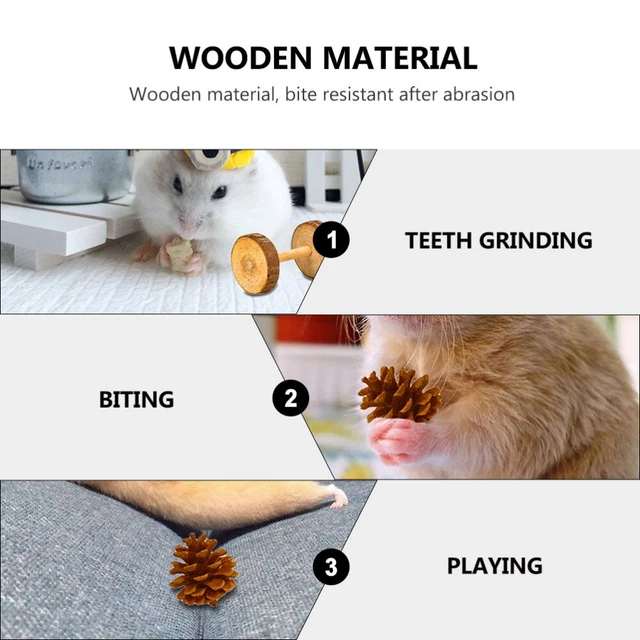 bird cage toy 2x Hamster Spielen Spielzeug Papagei Kauen Spielzeug 11