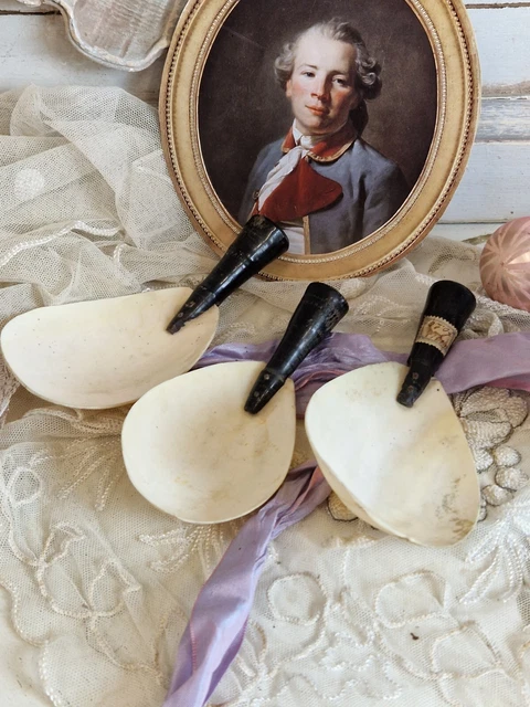 3 große antike Löffel aus Muscheln, Meeresschnecken