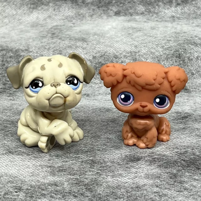 LPS Littlest Pet Shop - #39 Poodle Purple Pink Eyes #508 Bulldog Blue Eyes LPS Littlest Pet Shop - #39 Poodle Purple Pink Eyes #508 Bulldog Blue Eyes