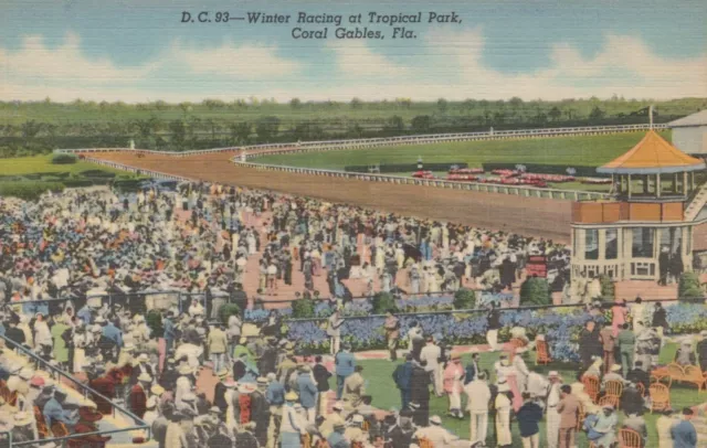 Winter Racing at Tropical Park Coral Gables Florida Linen Postcard