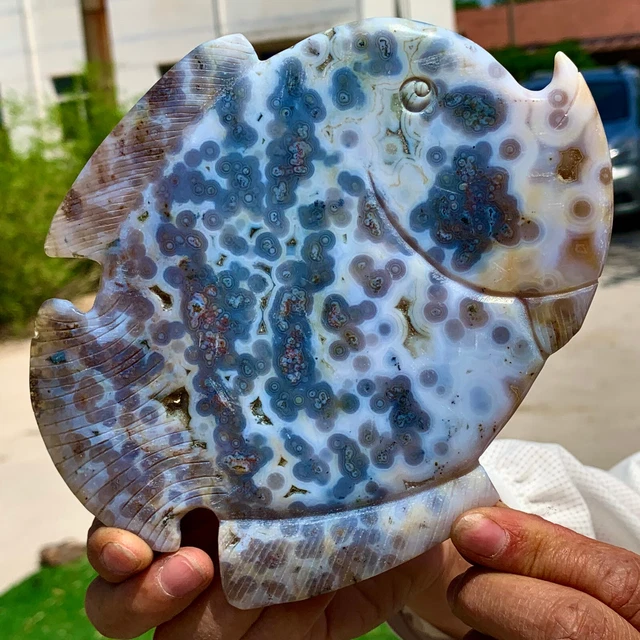 345G  Amazing Natural Ocean Jasper Crystal Carved Fish Jasper Halo Stone 23