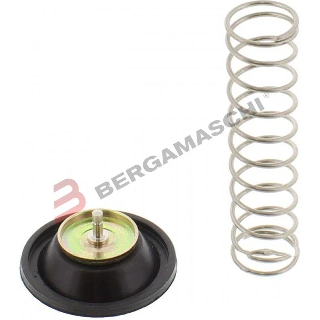 Diaframma Pompa Acceleratore Per Carburatore DORMAN 90087 - copertina