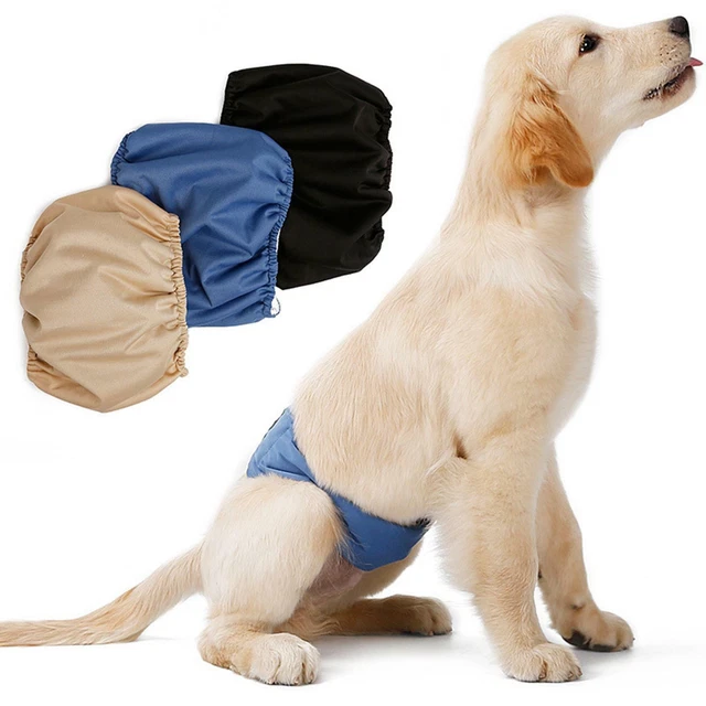Waschbare Windeln für männliche Hunde, wiederverwendbare Windeln für