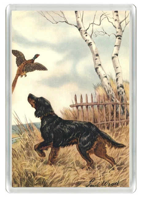 Gordon Setter Dog & Pheasant Art Print Novelty Acrylic Fridge Magnet Great Gift