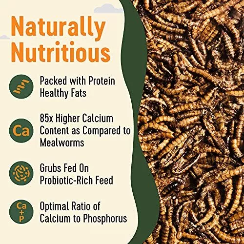 1lbNatural Black Soldier Fly Larvae for Chickens,85X More Calcium Than Mealworms 3