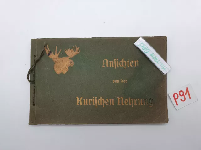 Altes Album ca . 1913 Ansichten der Kurischen Nehrung Ostpreussen P 91