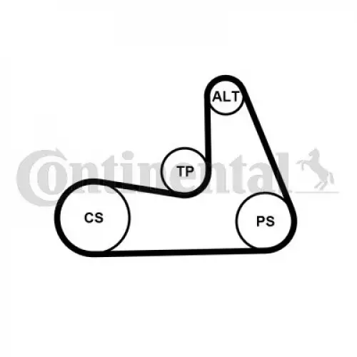 CONTINENTAL CTAM (5PK1121 EXTRA) Keilriemen, Keilrippenriemen für VOLVO