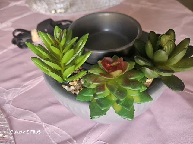 SCENTSY LITTLE GARDEN Element Wax Warmer Customizable Succulent Plant  $48.37 - PicClick CA