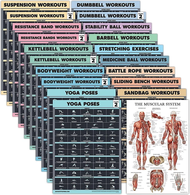 20 Pack Exercise Poster Set Dumbbell Suspension Battle Rope Stretching