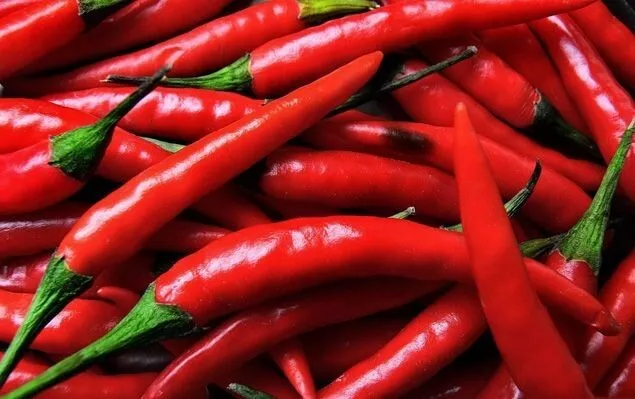 Piccantino Nostrano Calabrese 2X120 Gr.