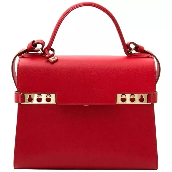 NEVER CARRIED Delvaux Tempête MM in Supple Calf