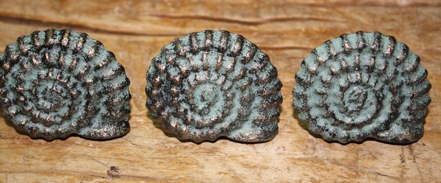 12 Cast Iron NAUTICAL Sea Shell Style Drawer Pull Barn Handle Door Handles Beach