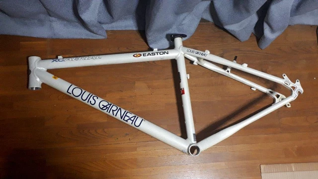 LOUIS GARNEAU XC AERIAL EASTONフレーム 450 LOUIS GARNEAU XC AERIAL EASTONフレーム 450 LOUIS GARNEAU