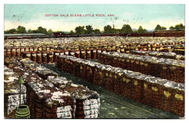 1913 Cotton Bale Scene, Little Rock, AR Postcard