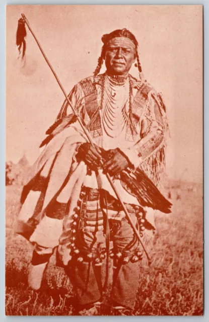 Native Americana~Blackfeet Man Photo @ Museum Of The American Indian~Postcard