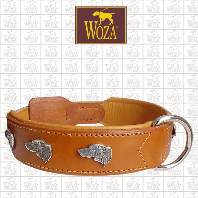 WOZA Premium Hundehalsband Setter Vollleder Lasche Sattlernaht Rindnappa C6727