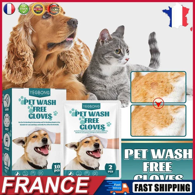 No Rinse Cat Dogs Cleaning Gloves Disposable Pet Stain Remover Wet Wipes (10pcs)