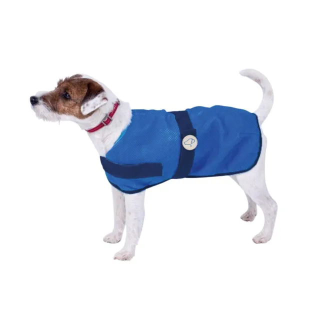 Blue Dog Cooling Coat Lightweight Pet Vest Jacket for Hot Summer Weather 5 Sizes