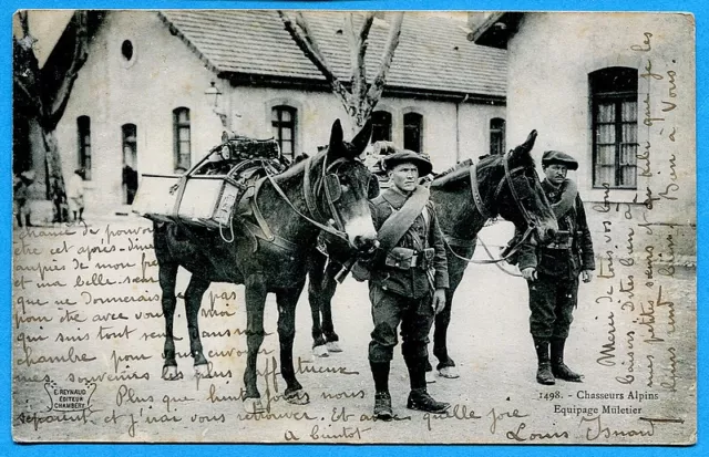 CPA : Chasseurs Alpins - Equipage Muletier