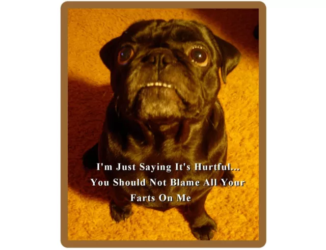 Funny Black Pug Dog Farting  Refrigerator / Tool Box Magnet Gift Card Insert