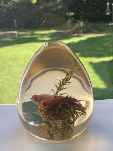 Daisyglas Lucite Acrylic Egg Shape Paperweight Birds In Nest Finch Vintage 2