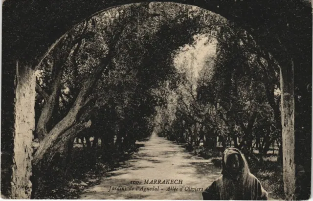 CPA AK MAROC MARRAKECH Jardins de L'Aguedal (10570)