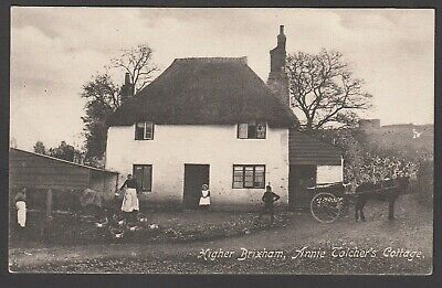 Postcard Higher Brixham nr Paignton Devon early view of Annie Tolcher's Cottage