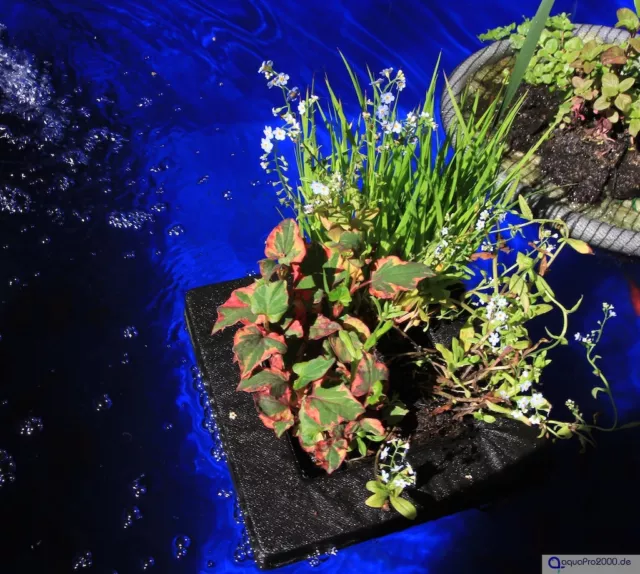 VELDA Floating Plant Island carré île végétale île conductrice Koi