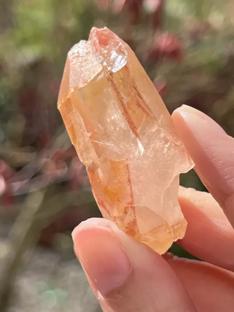 Scarlet Temple Twin Lemurian Seed Clear Quartz Crystal AA