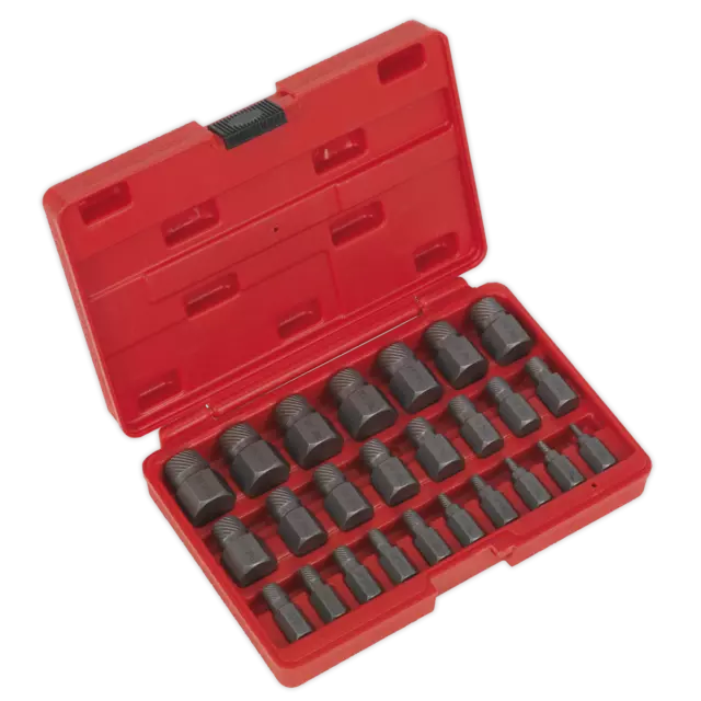 Multi-Spline Vis Extracteur Set 25pc AK8182 Sealey Neuf